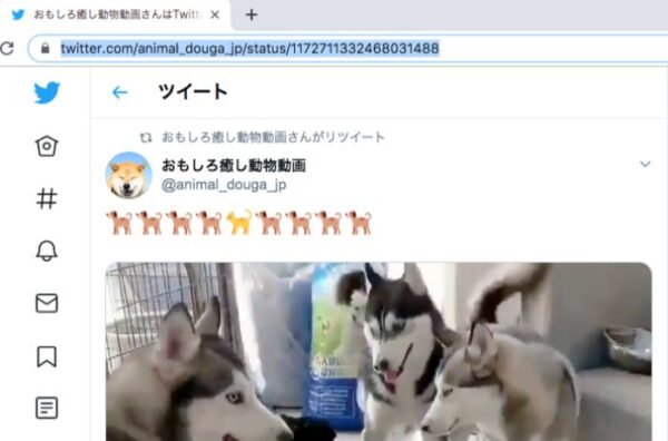 Top Buzz バズビデオ で稼ぐ方法 単純作業で収益化するコツ Hi Lab