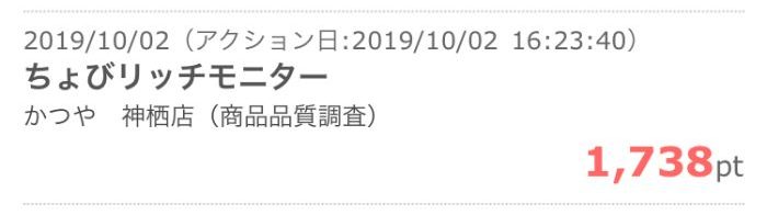 ちょびリッチモニターの獲得ポイント