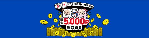 ニフティポイントクラブで5と0のつく日に買い物をすると5000Pが当たる 